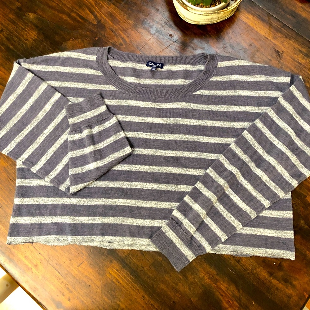 Splendid Gray and Cream Cropped Lightweight Sweater